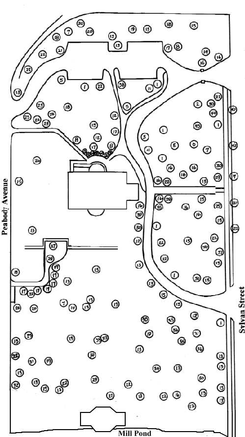 PEABODY PARK TREES AND SHRUBS